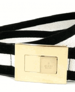 Gucci Web Canvas Belt