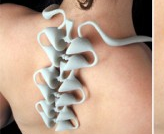 vertebrae necklace